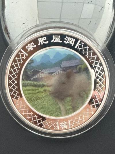 ❤️【币观天下】❤️ 第339期钱币拍卖- 2026.1.16周五晚上6点半场-长期征集拍品 - 澳大利亚2007年猪年彩色银币31.1克999银