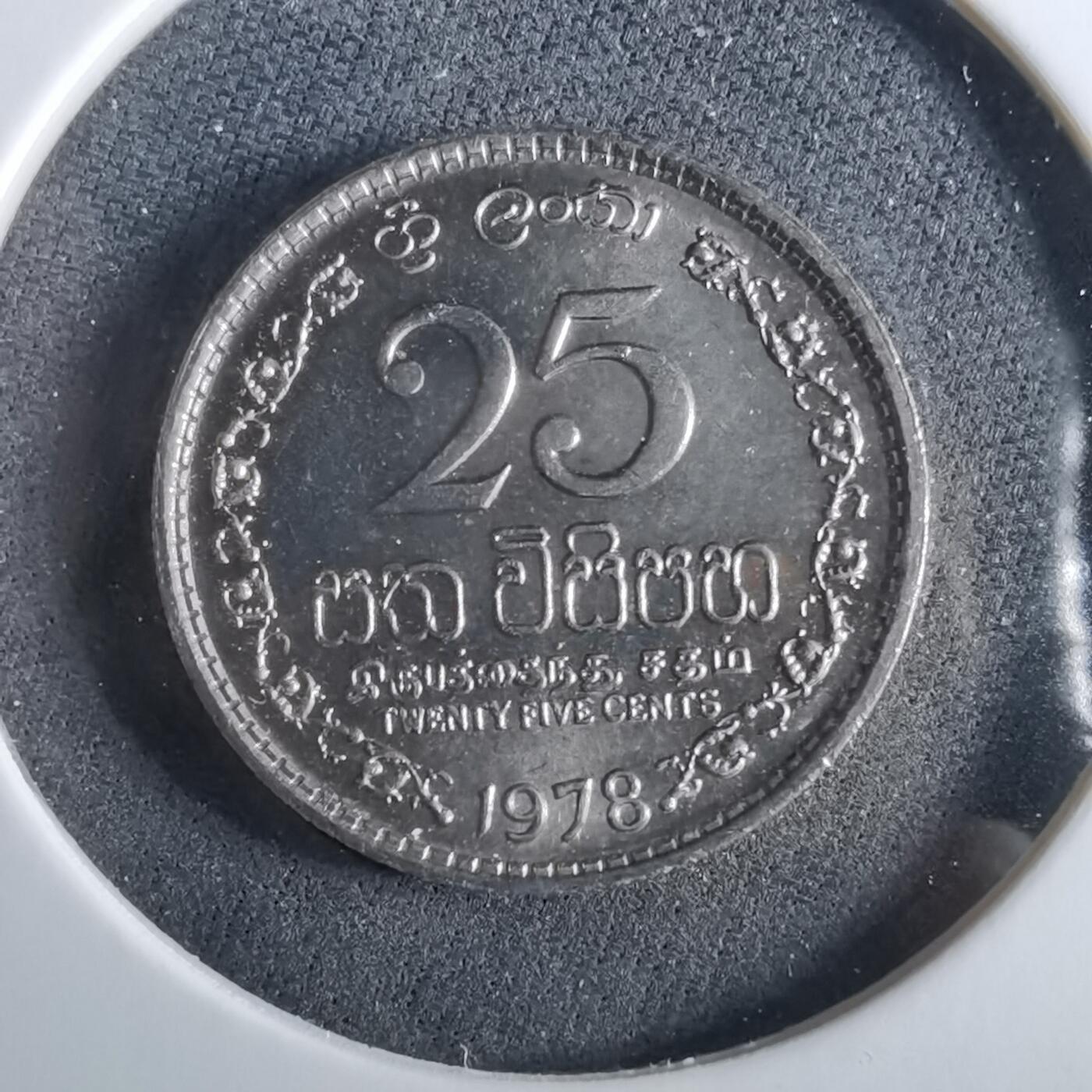 沼泽如烟--第960场