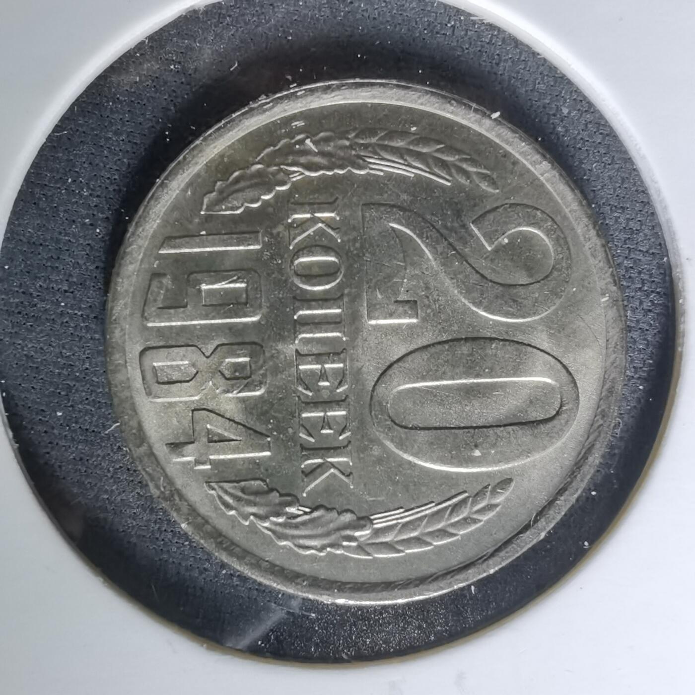 沼泽如烟--第960场