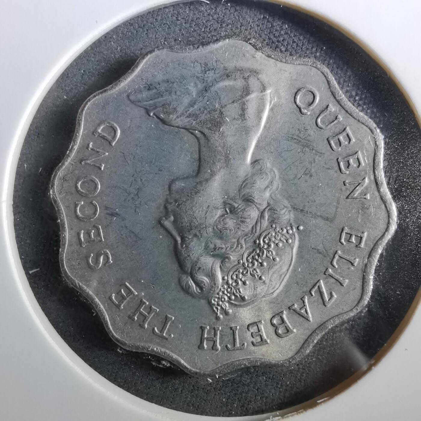 沼泽如烟--第960场