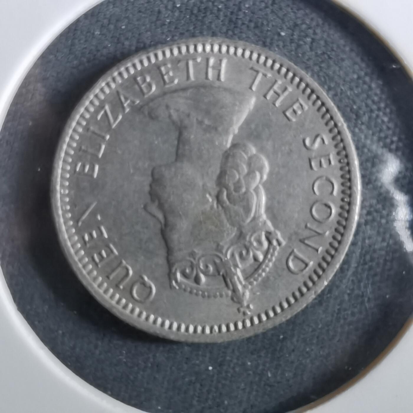 沼泽如烟--第960场