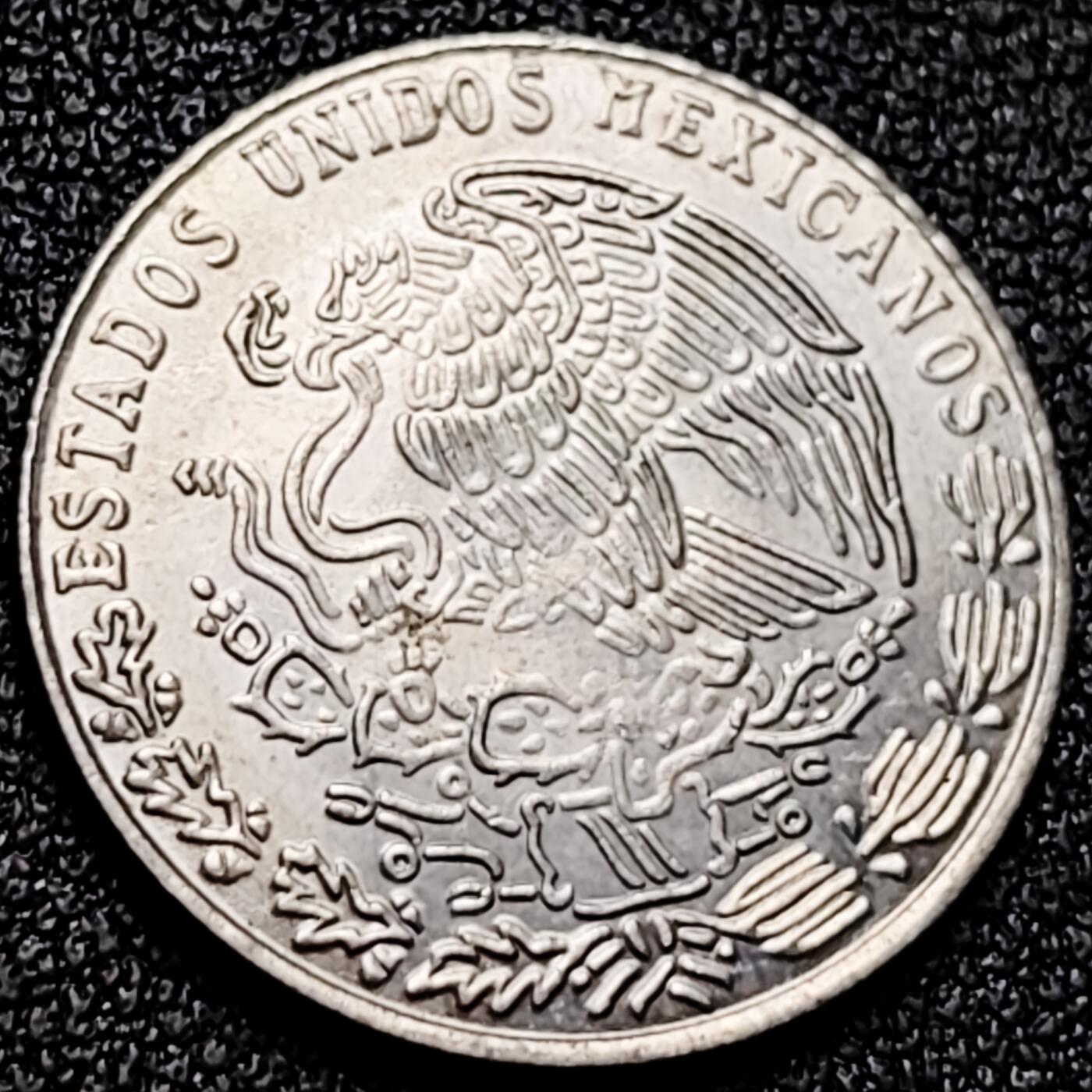 泉币菌-第170场- 精品福利场 。