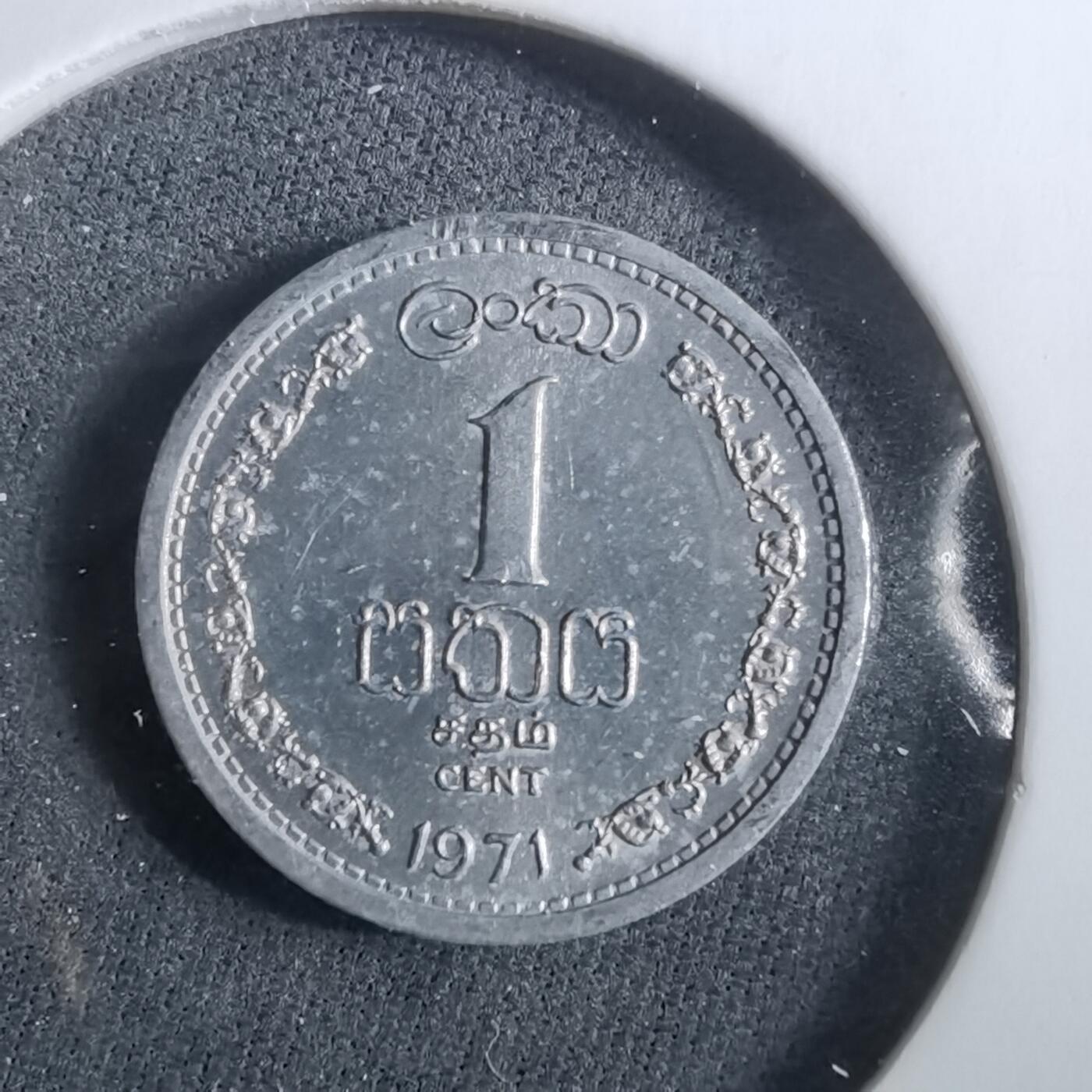 沼泽如烟--第960场