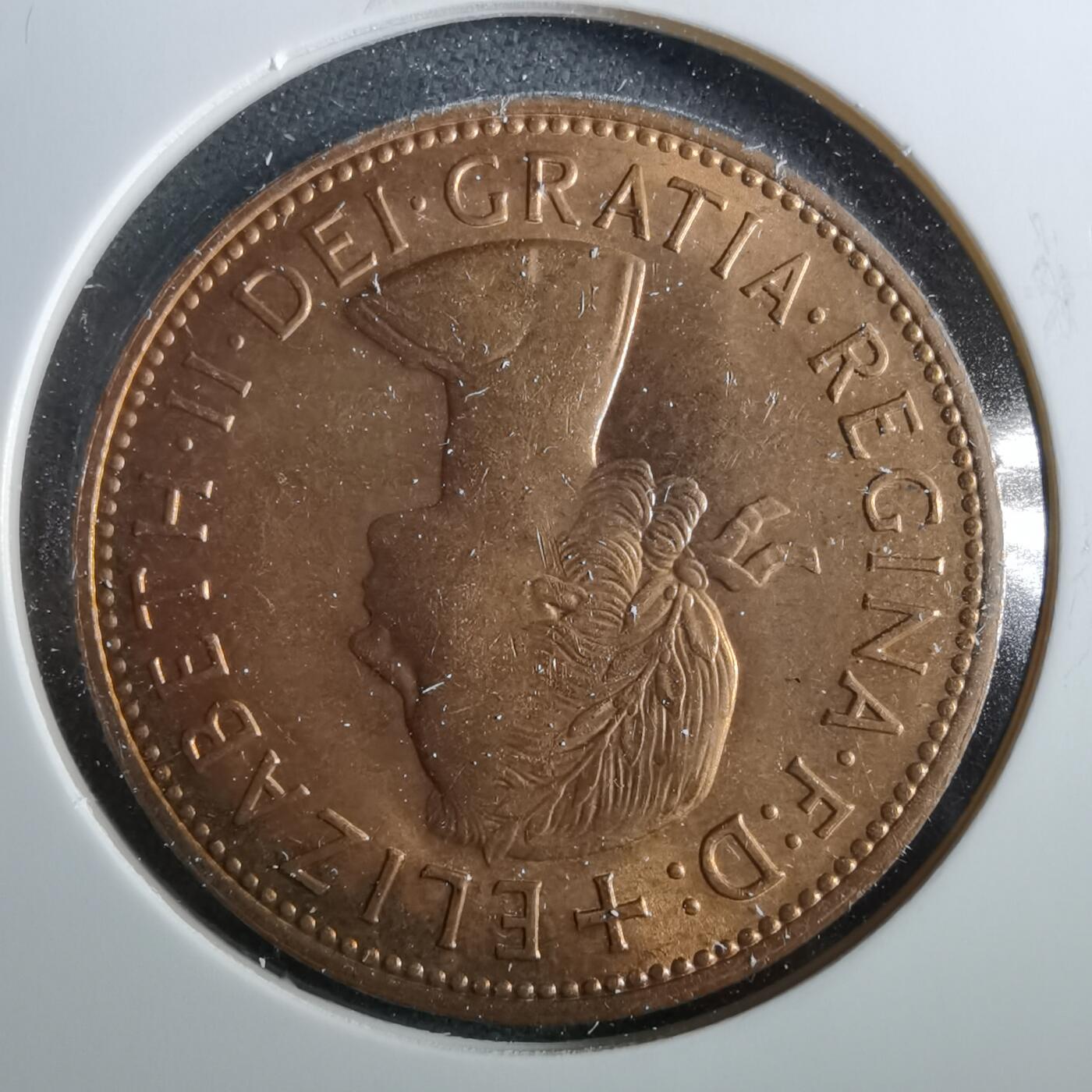 沼泽如烟--第960场