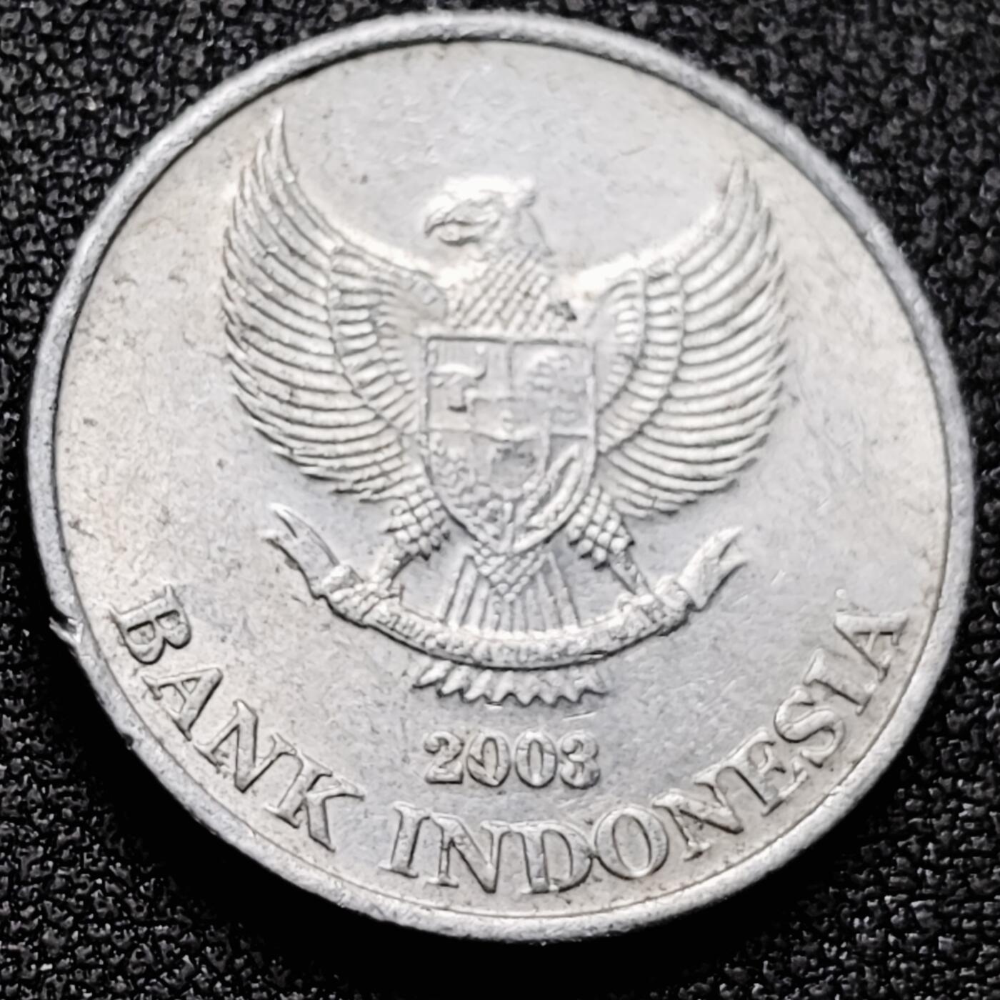 泉币菌-第169场- 精品福利场