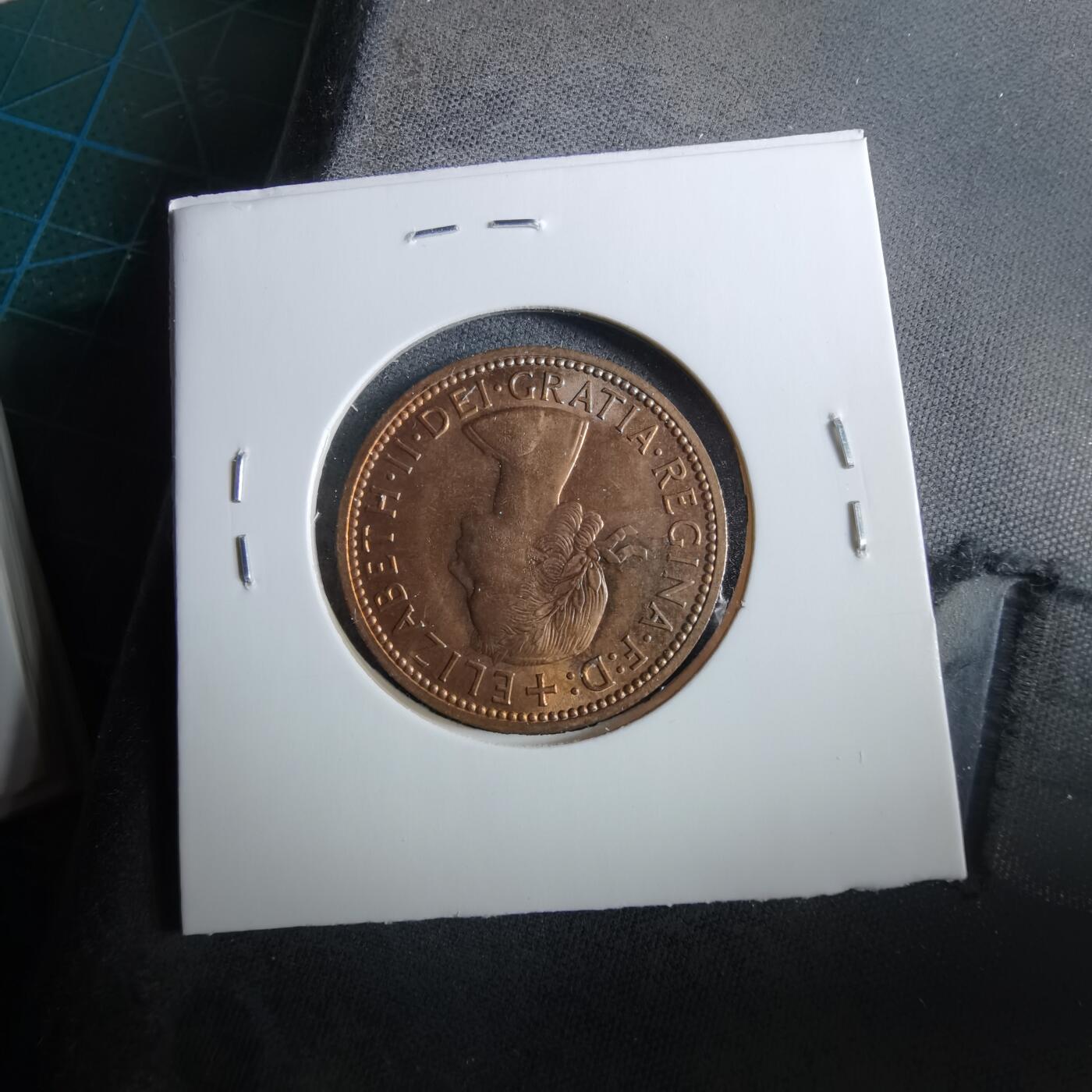 沼泽如烟--第960场