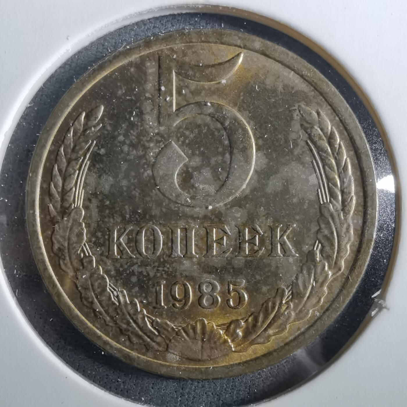 沼泽如烟--第960场