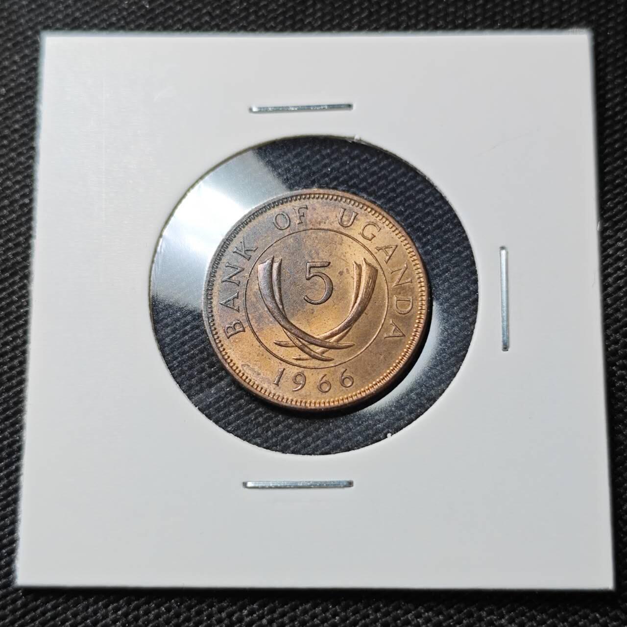 KK钱币收藏小铺 第380期  2月预留时间 周末发货