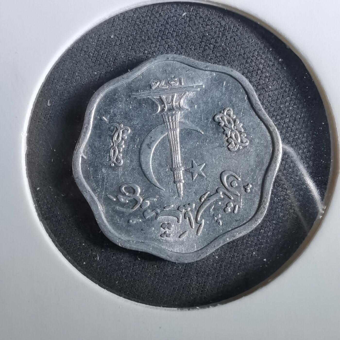 沼泽如烟--第960场