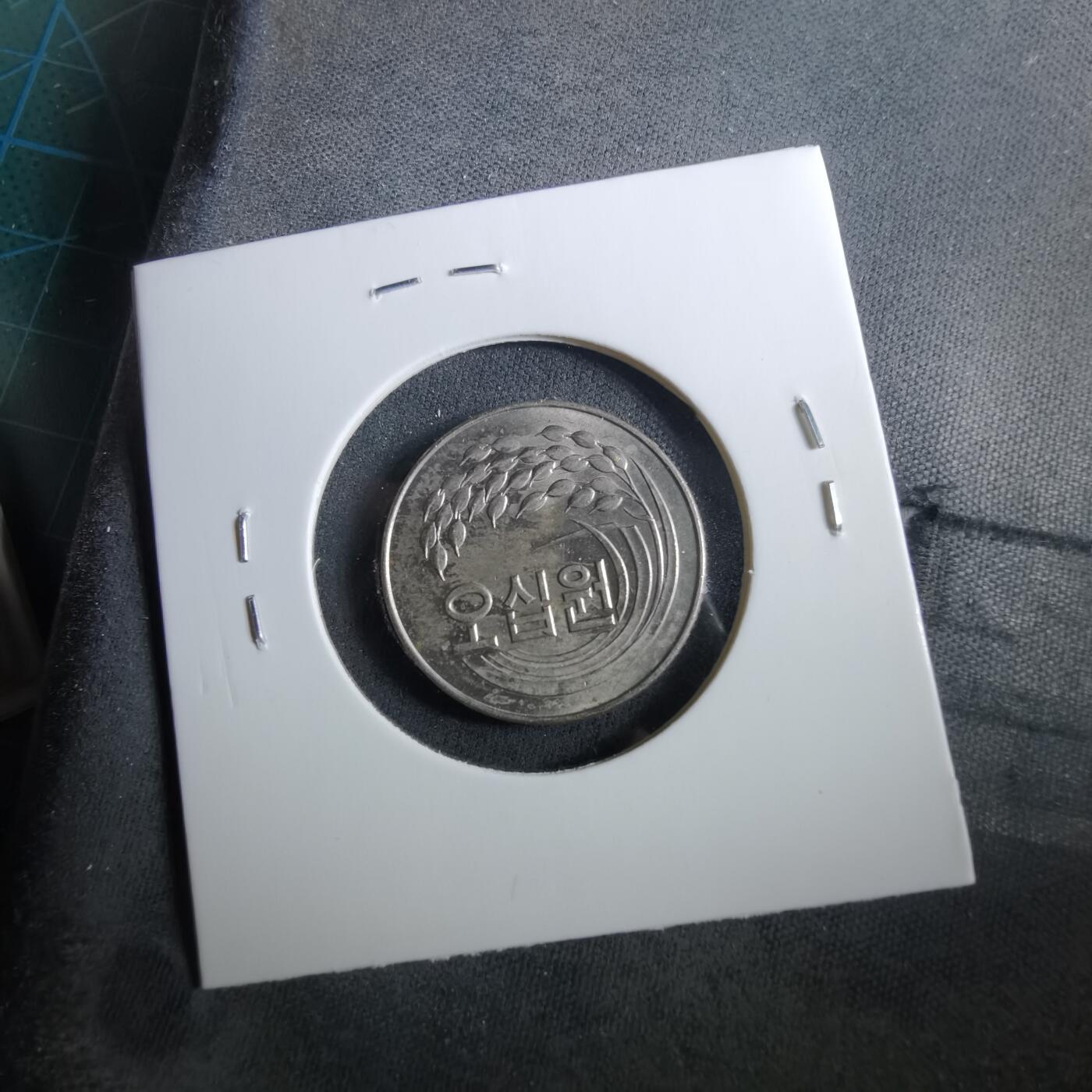 沼泽如烟--第960场