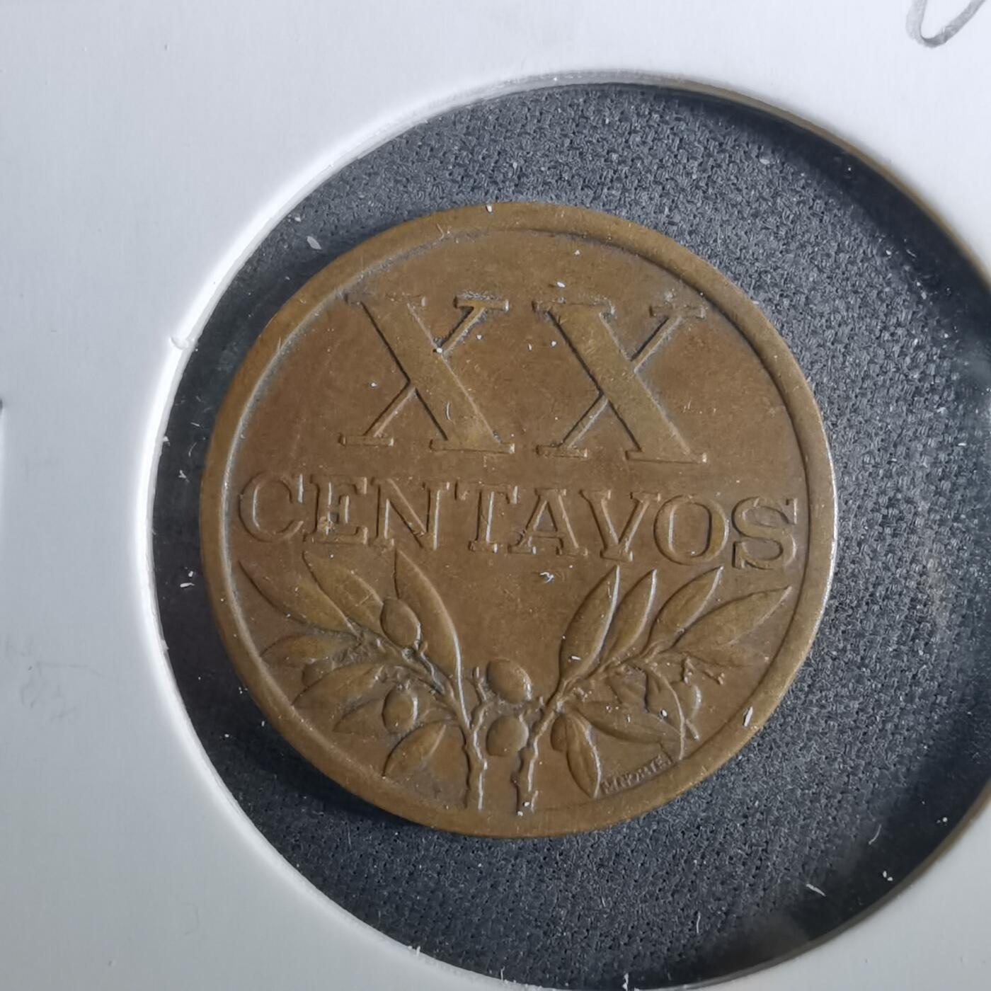 沼泽如烟--第960场