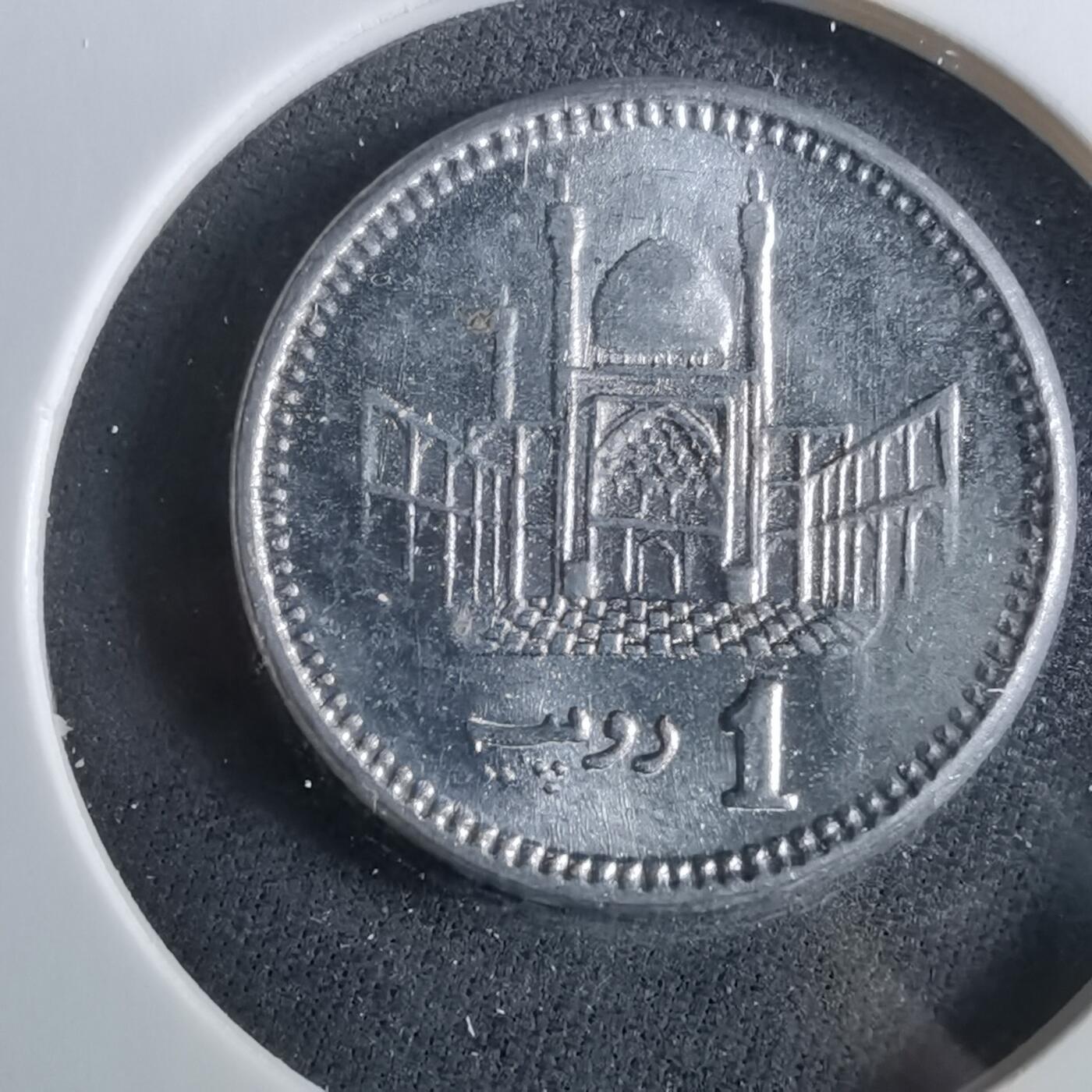 沼泽如烟--第960场