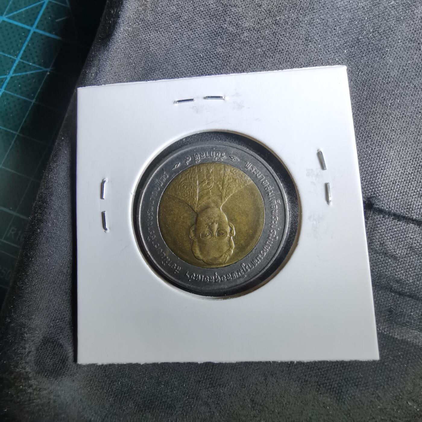 沼泽如烟--第960场 泰国