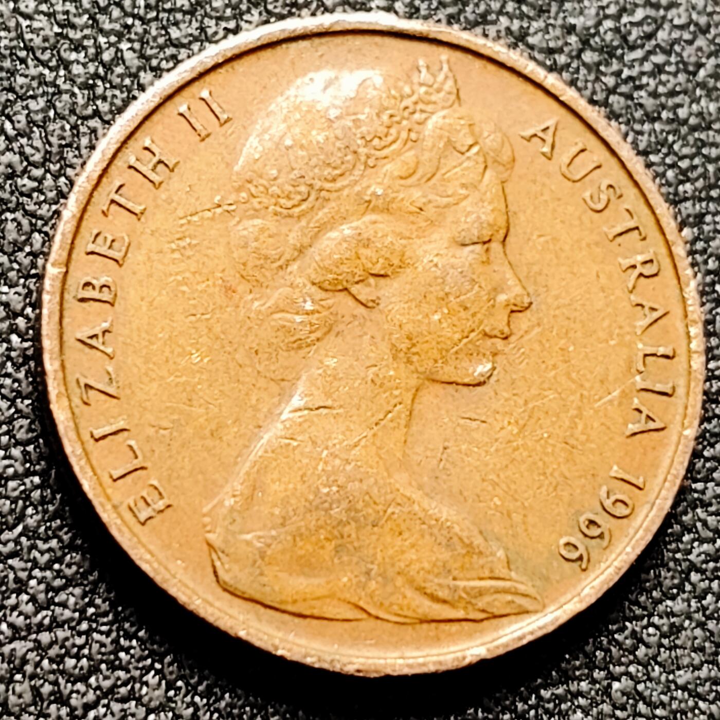 泉币菌-第169场- 精品福利场