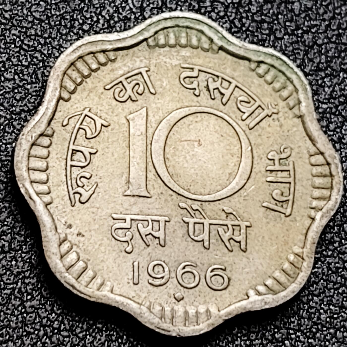 泉币菌-第170场- 精品福利场 。