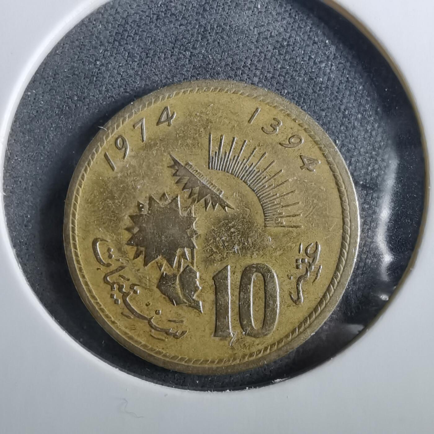 沼泽如烟--第960场