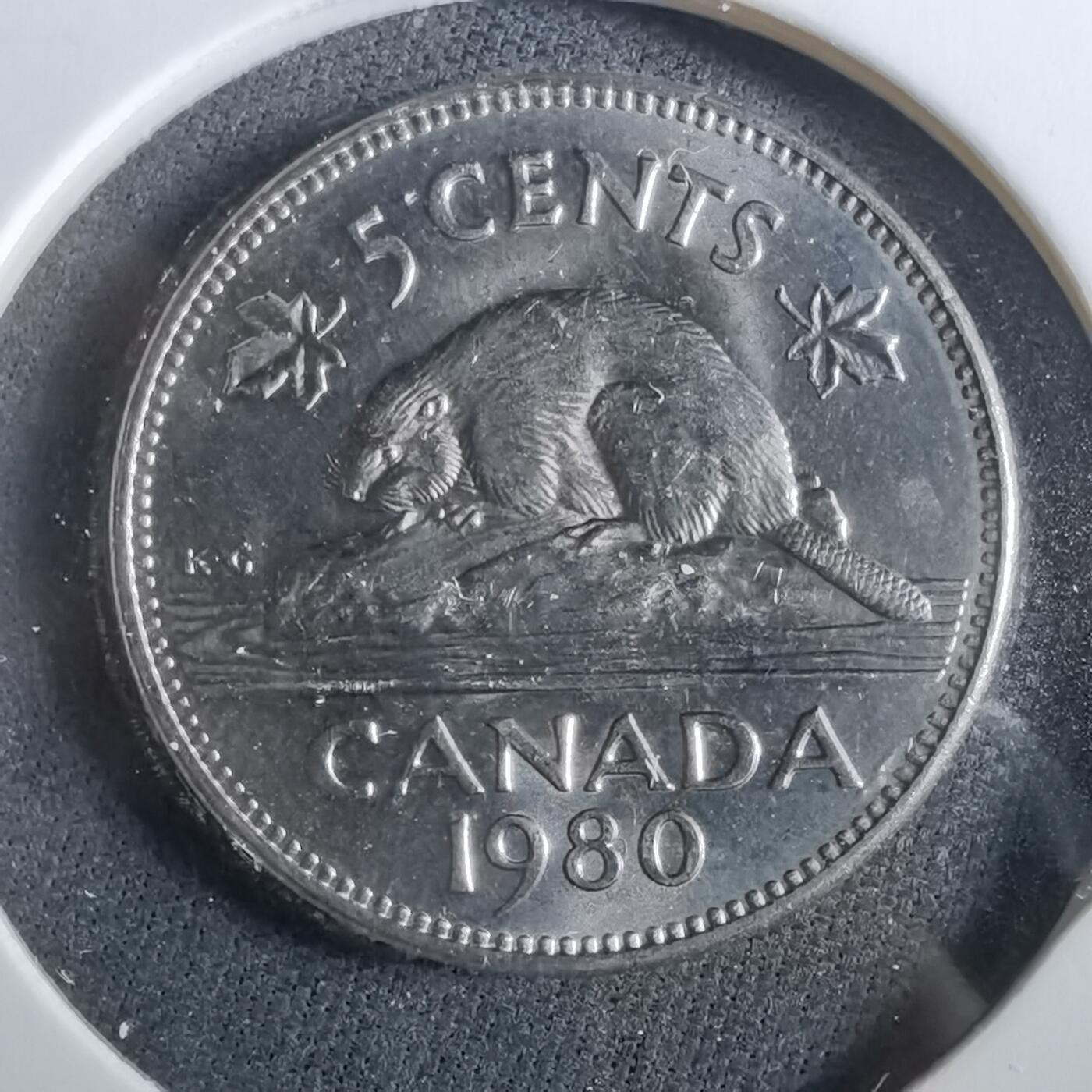 沼泽如烟--第960场