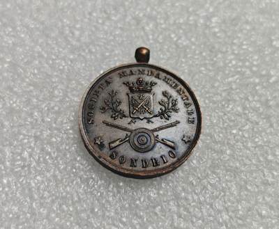 瓶子🏺第225期拍卖会 -  1885年意大利射击节纪念铜章