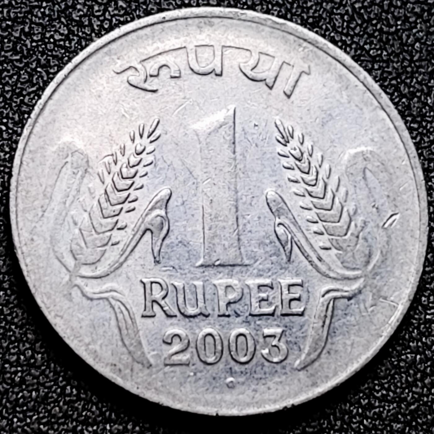 泉币菌-第170场- 精品福利场 。