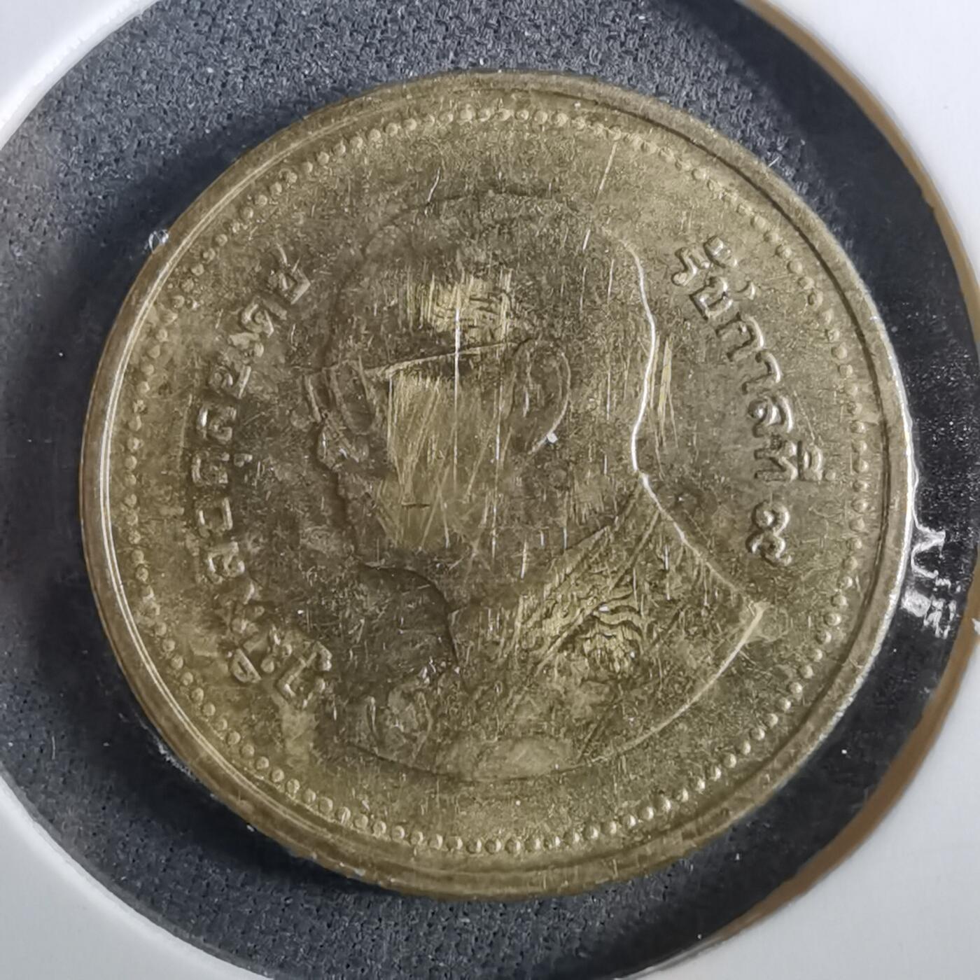 沼泽如烟--第960场