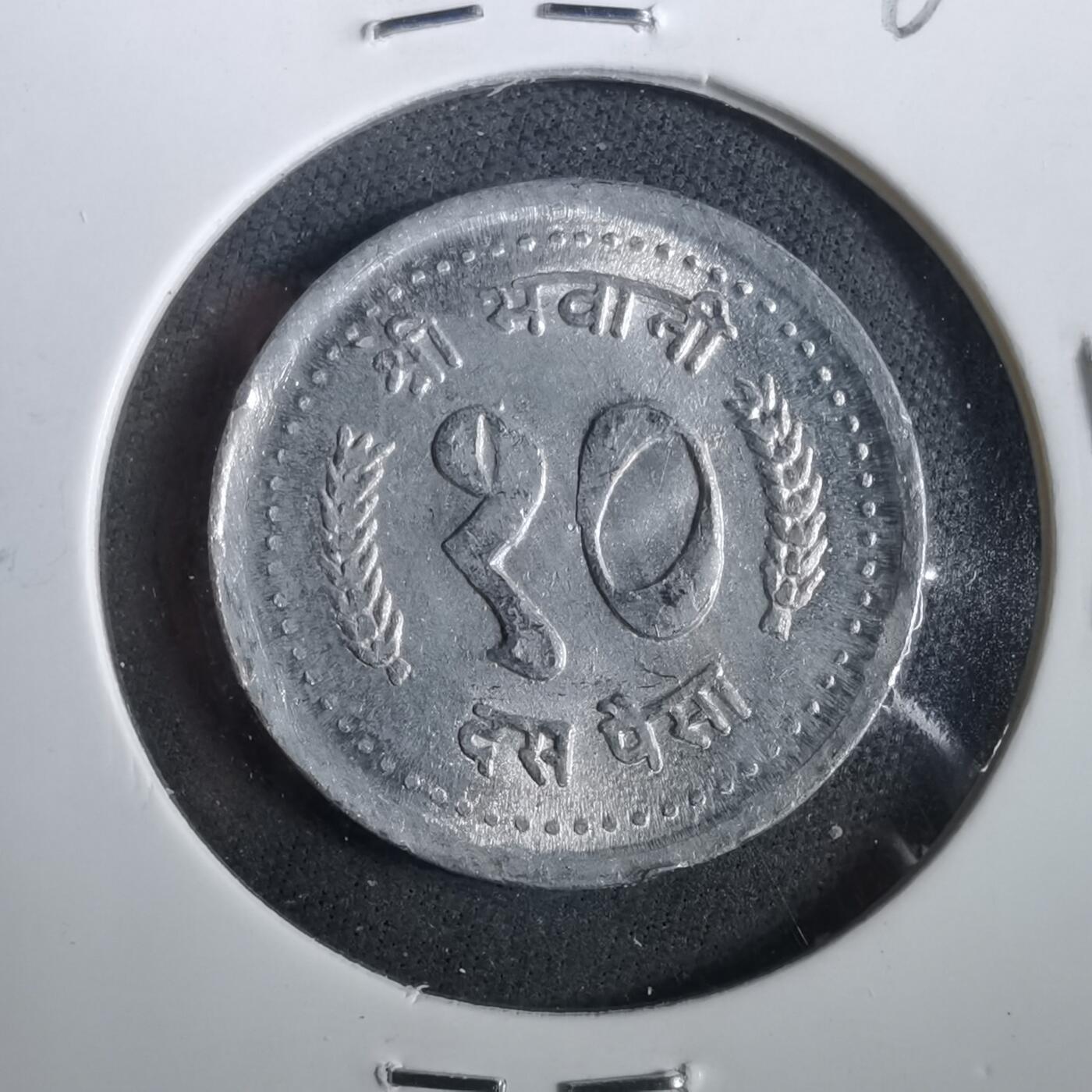 沼泽如烟--第960场