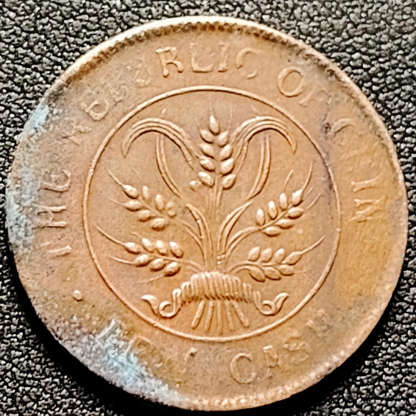 泉币菌-第170场- 精品福利场