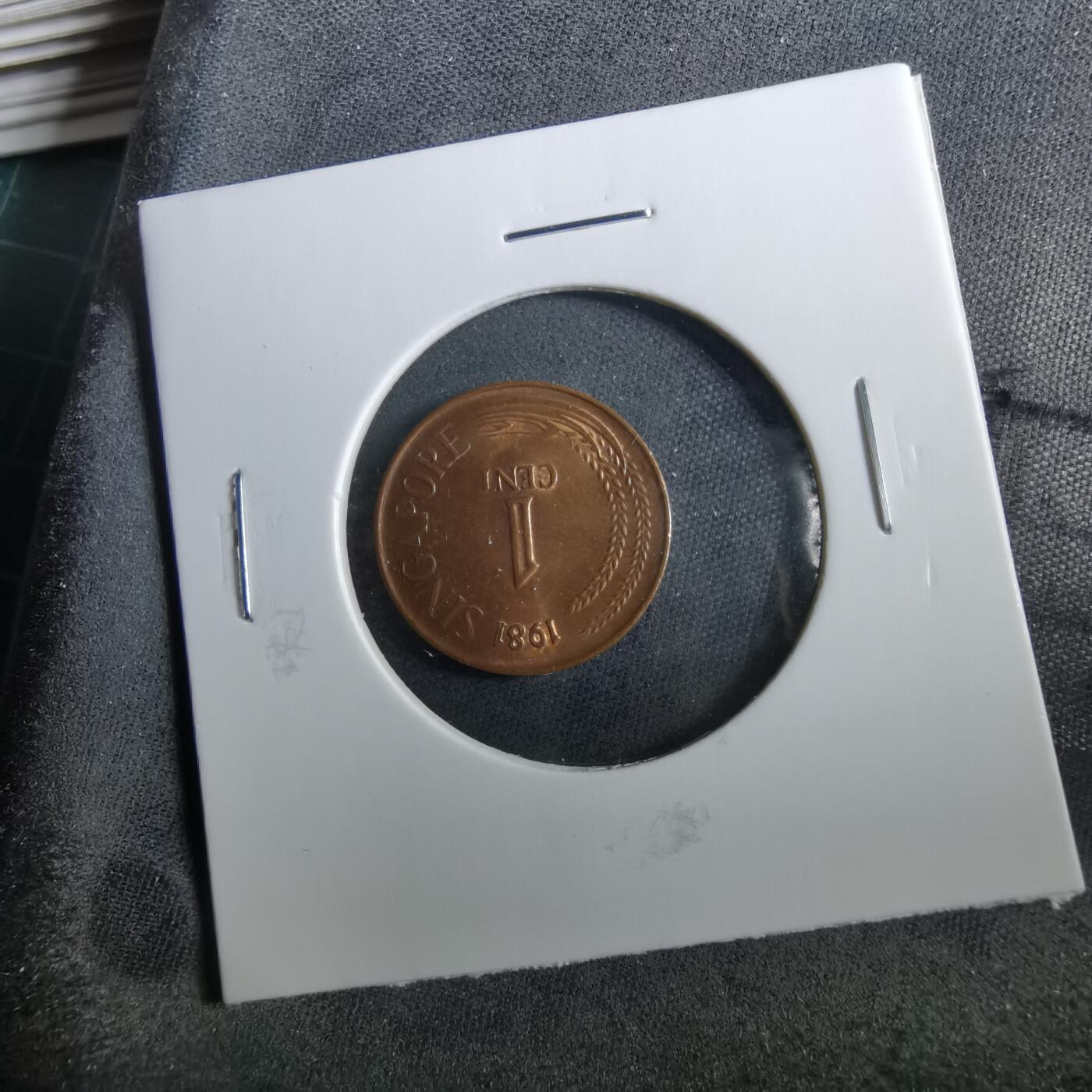 沼泽如烟--第960场