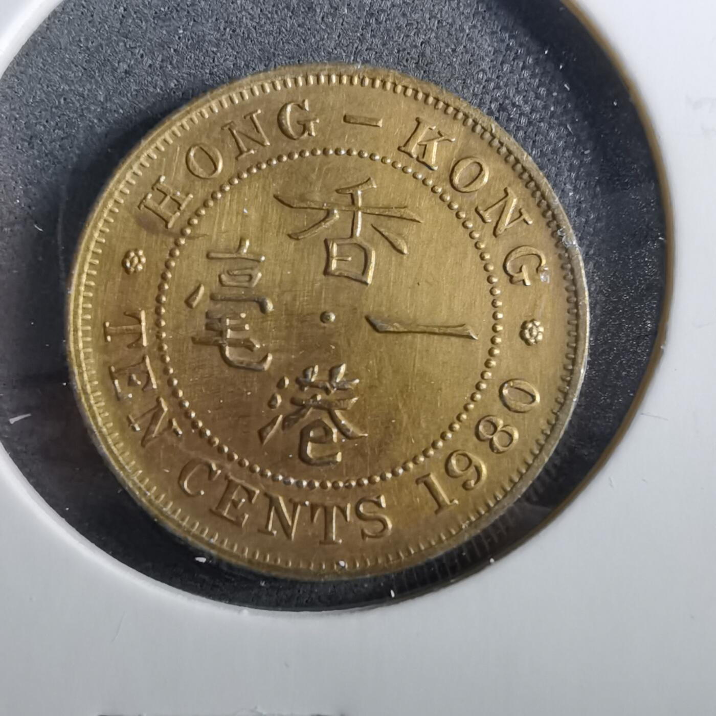 沼泽如烟--第960场