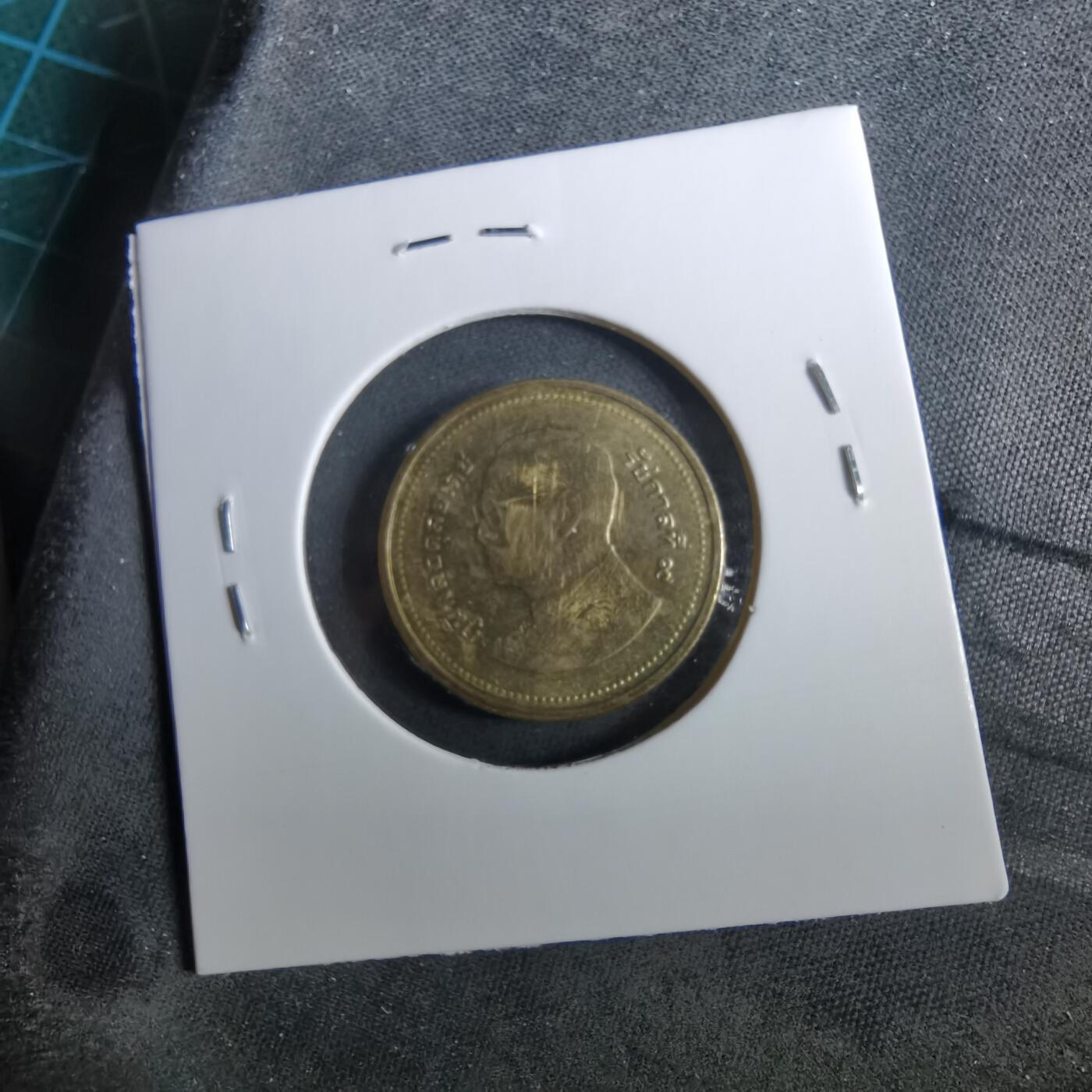 沼泽如烟--第960场