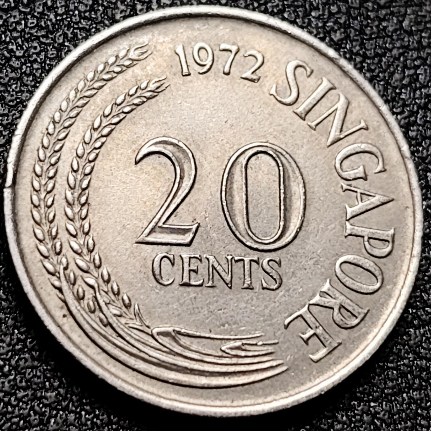 泉币菌-第169场- 精品福利场