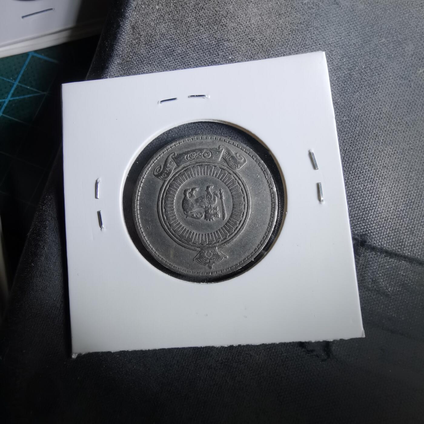 沼泽如烟--第960场