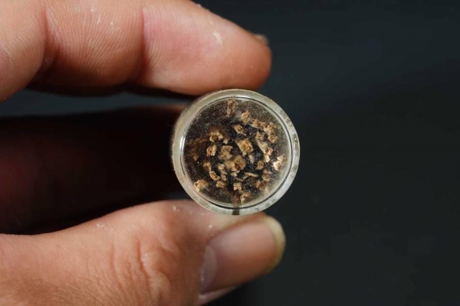 上海都达杂项专场一（全场包邮）