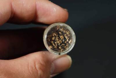 上海都达杂项专场七十三【全场包邮】 天然沉香烟丝16罐/1盒