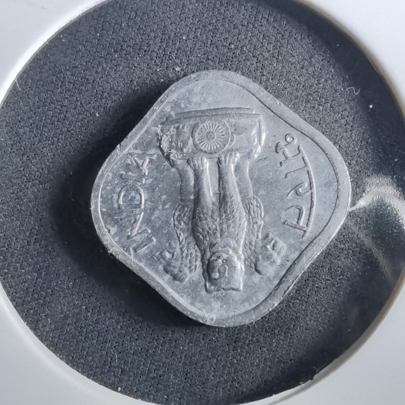 沼泽如烟--第960场