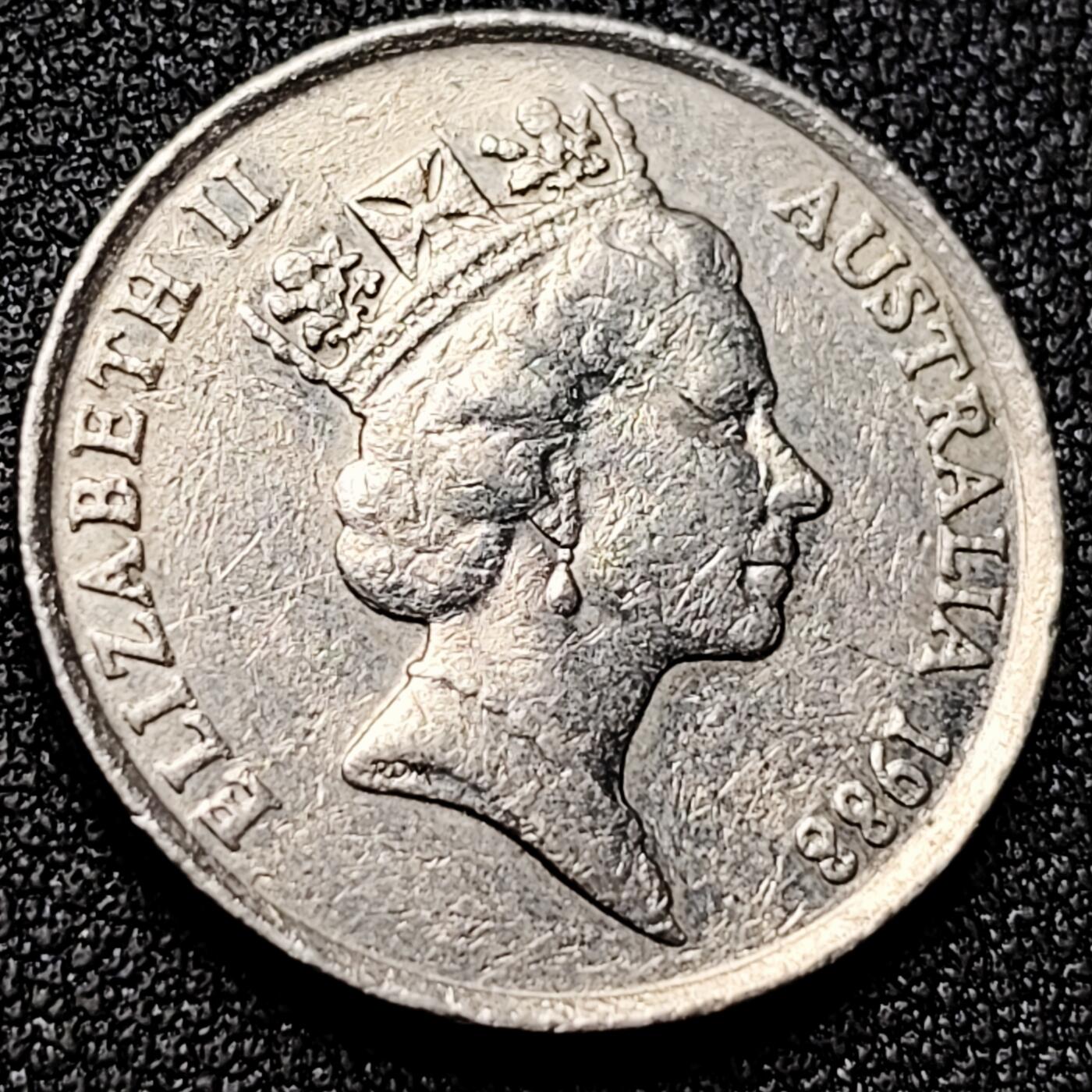 泉币菌-第169场- 精品福利场