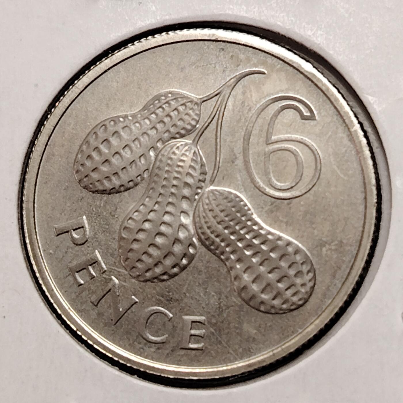 布加迪🐬～世界钱币(上海)🌾第 269 期 /  各国套币和散币 英属冈比亚🇬🇲 1966年 6便士