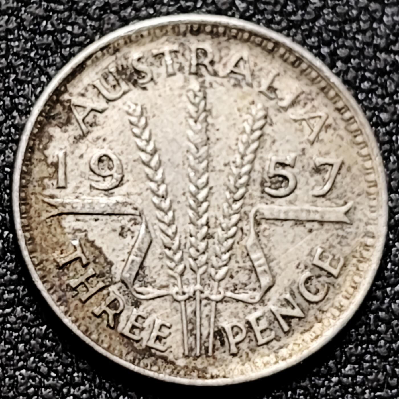 泉币菌-第170场- 精品福利场 。