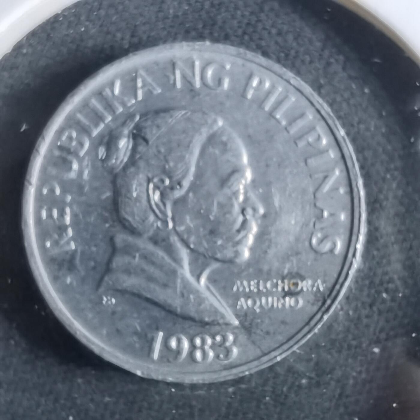 沼泽如烟--第960场