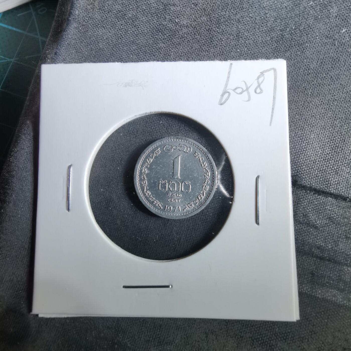 沼泽如烟--第960场