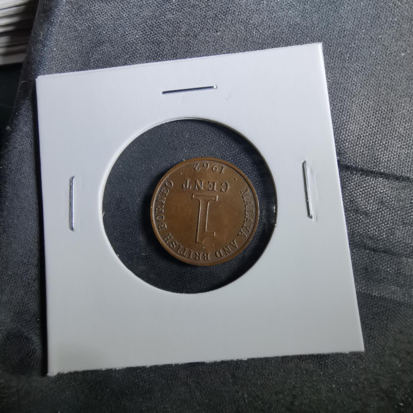 沼泽如烟--第960场