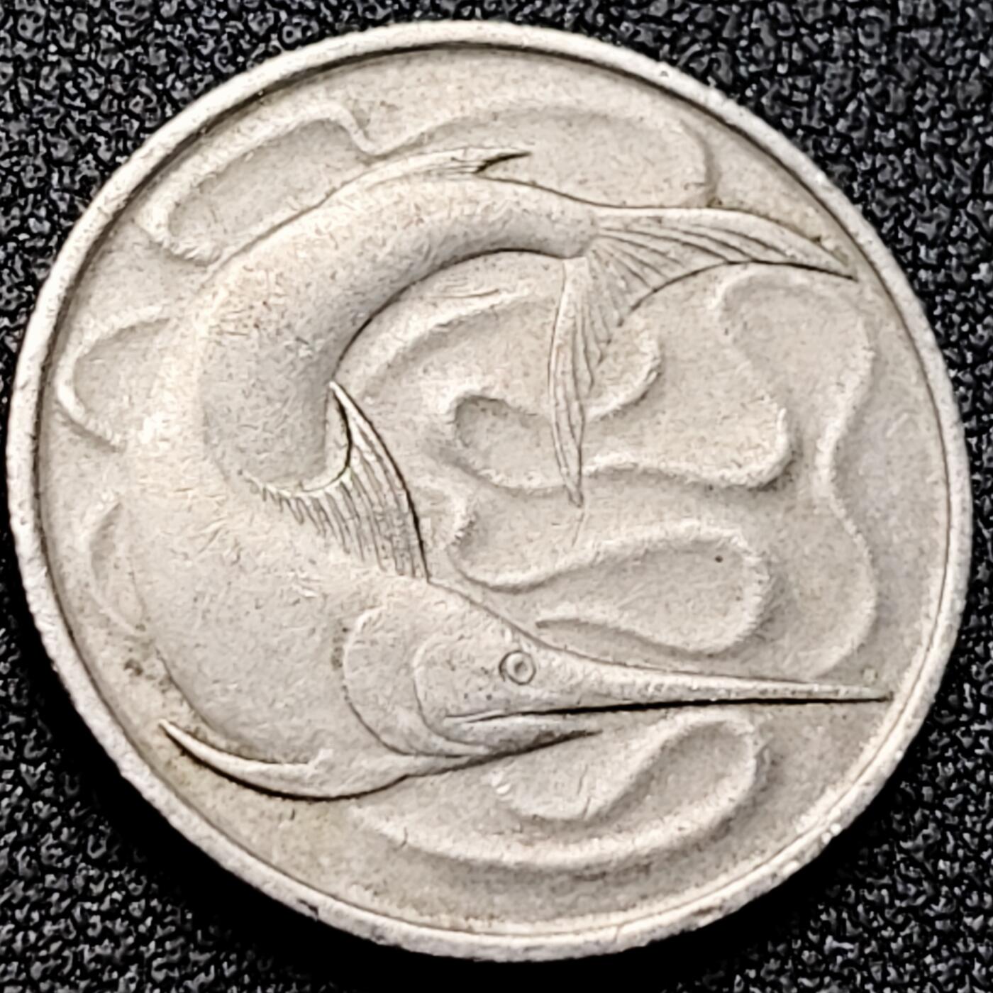 泉币菌-第170场- 精品福利场 。