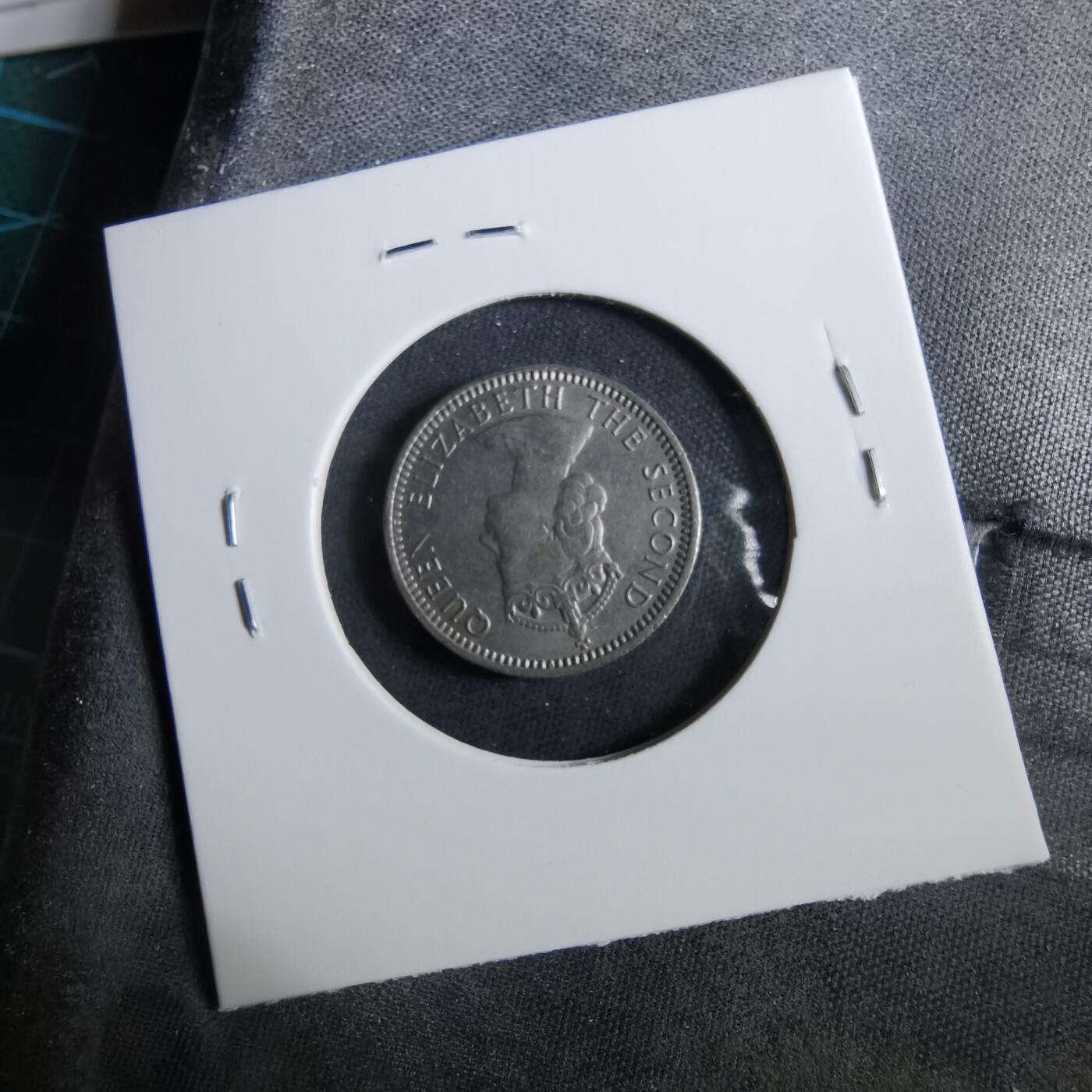 沼泽如烟--第960场