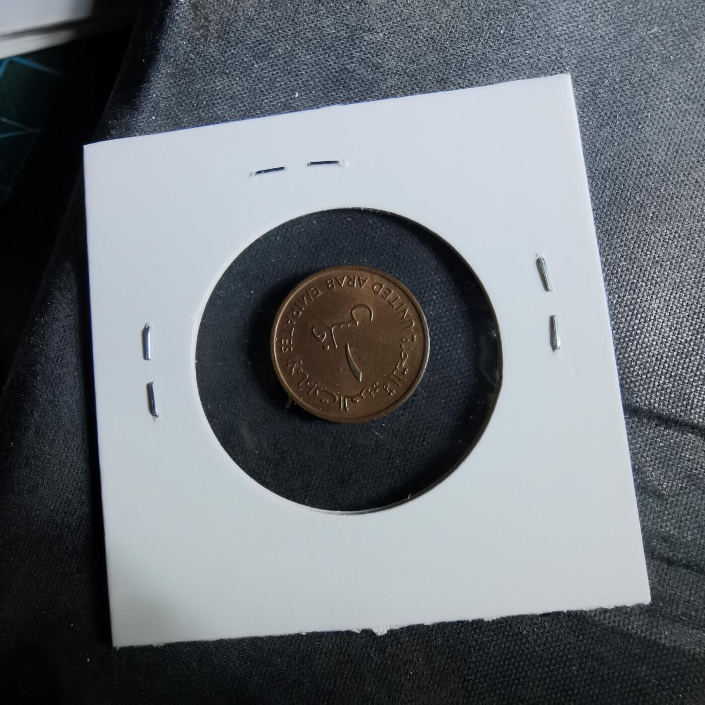 沼泽如烟--第960场