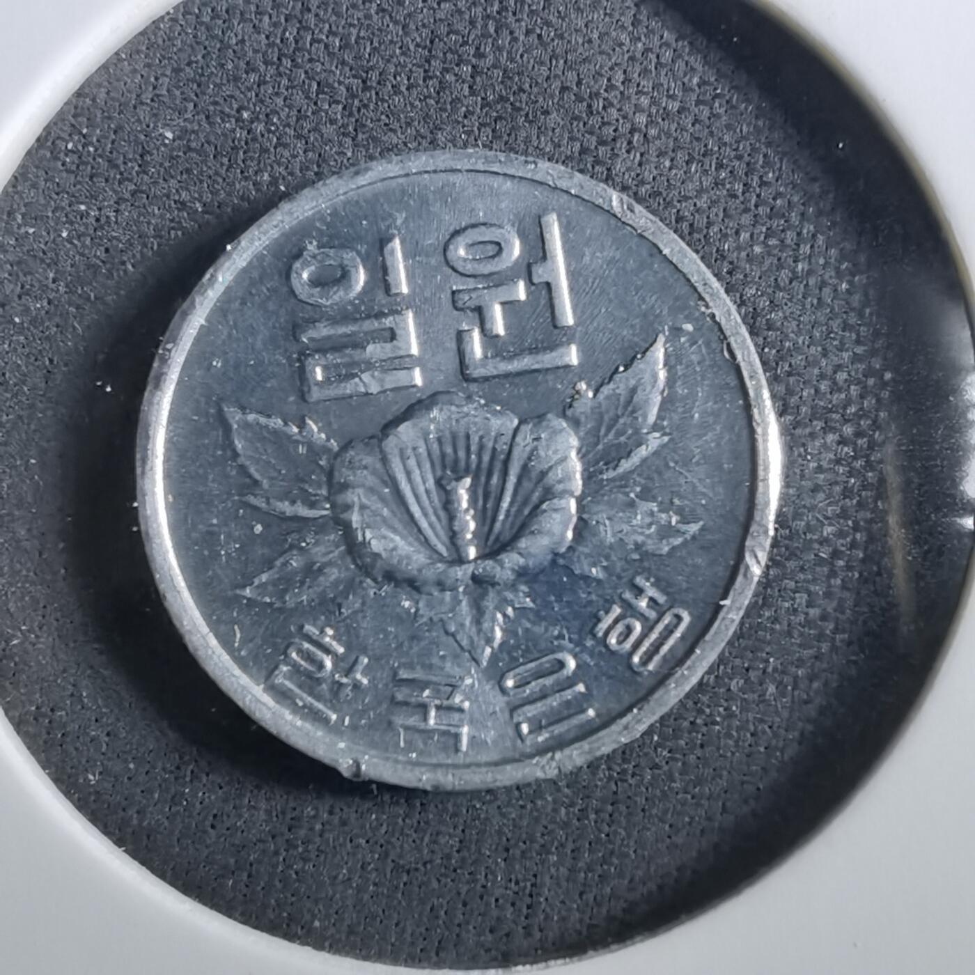 沼泽如烟--第960场