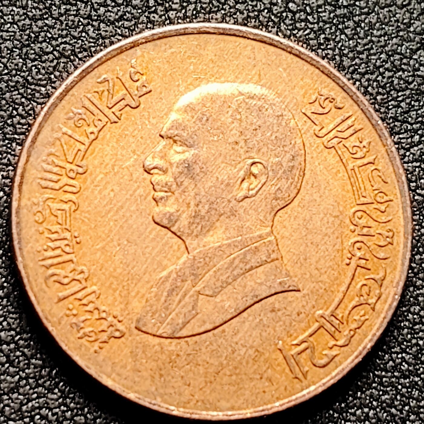 泉币菌-第170场- 精品福利场 。