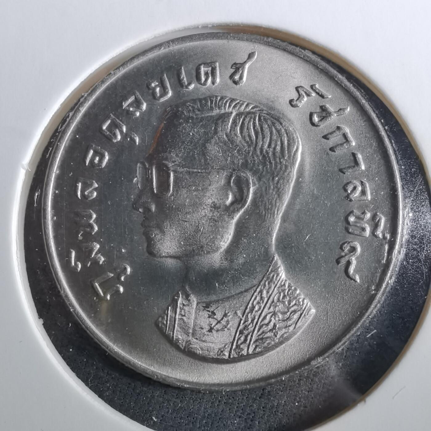 沼泽如烟--第960场