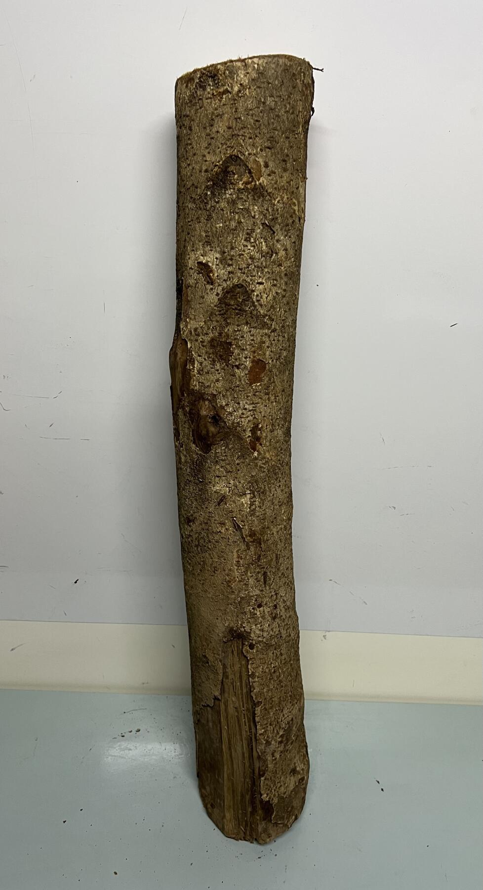 零元拍： 01-09-5金丝楠 原木 风水柱 横财（材）带皮， 尺寸：81/11.5/13CM。7.8公斤，抛光后金灿灿满香