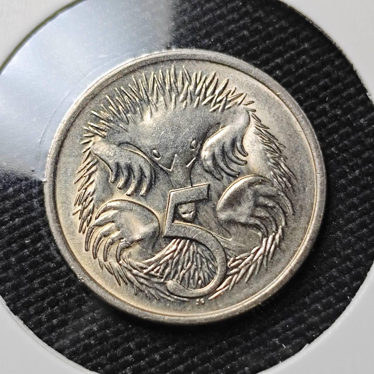 KK钱币收藏小铺 第380期  2月预留时间 周末发货