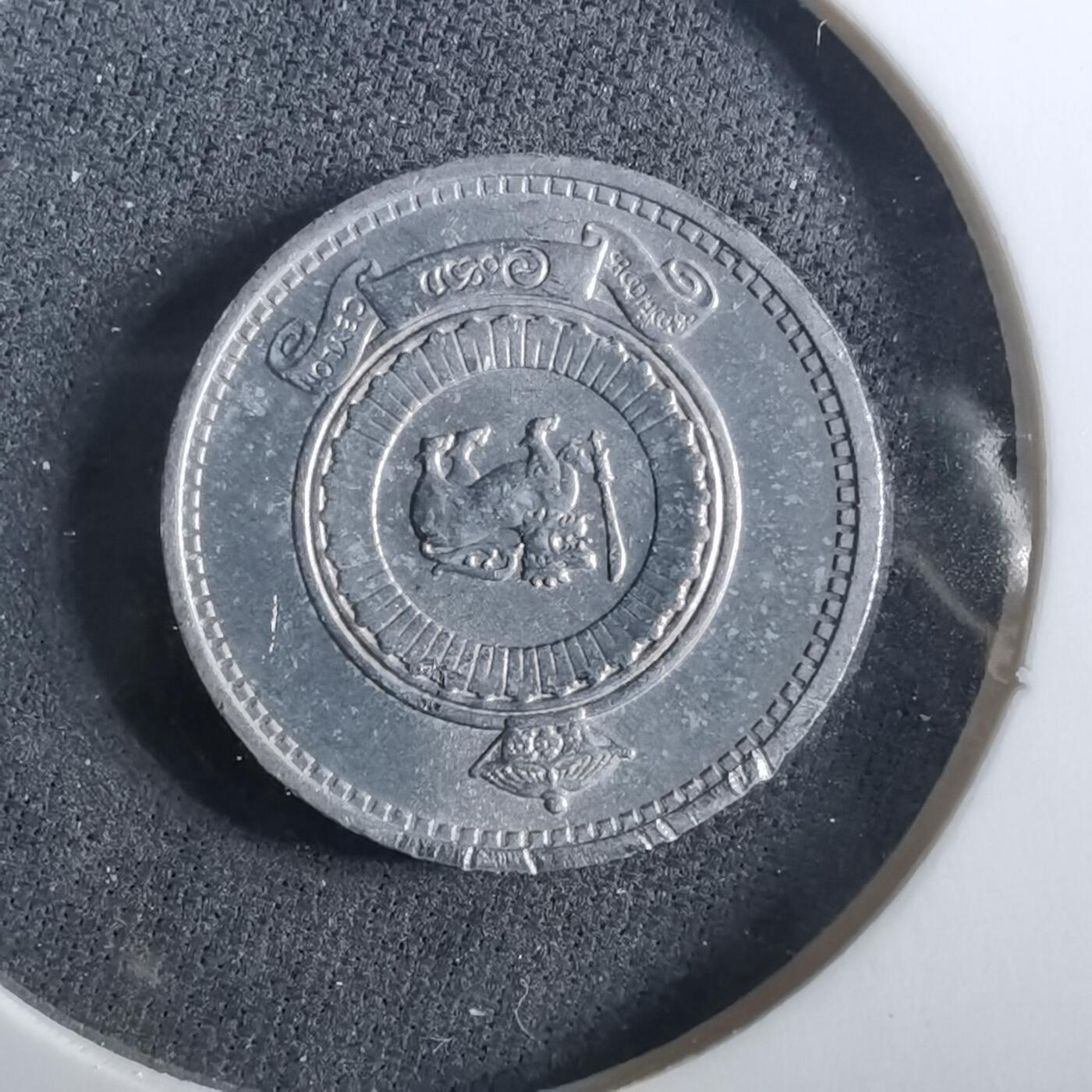 沼泽如烟--第960场