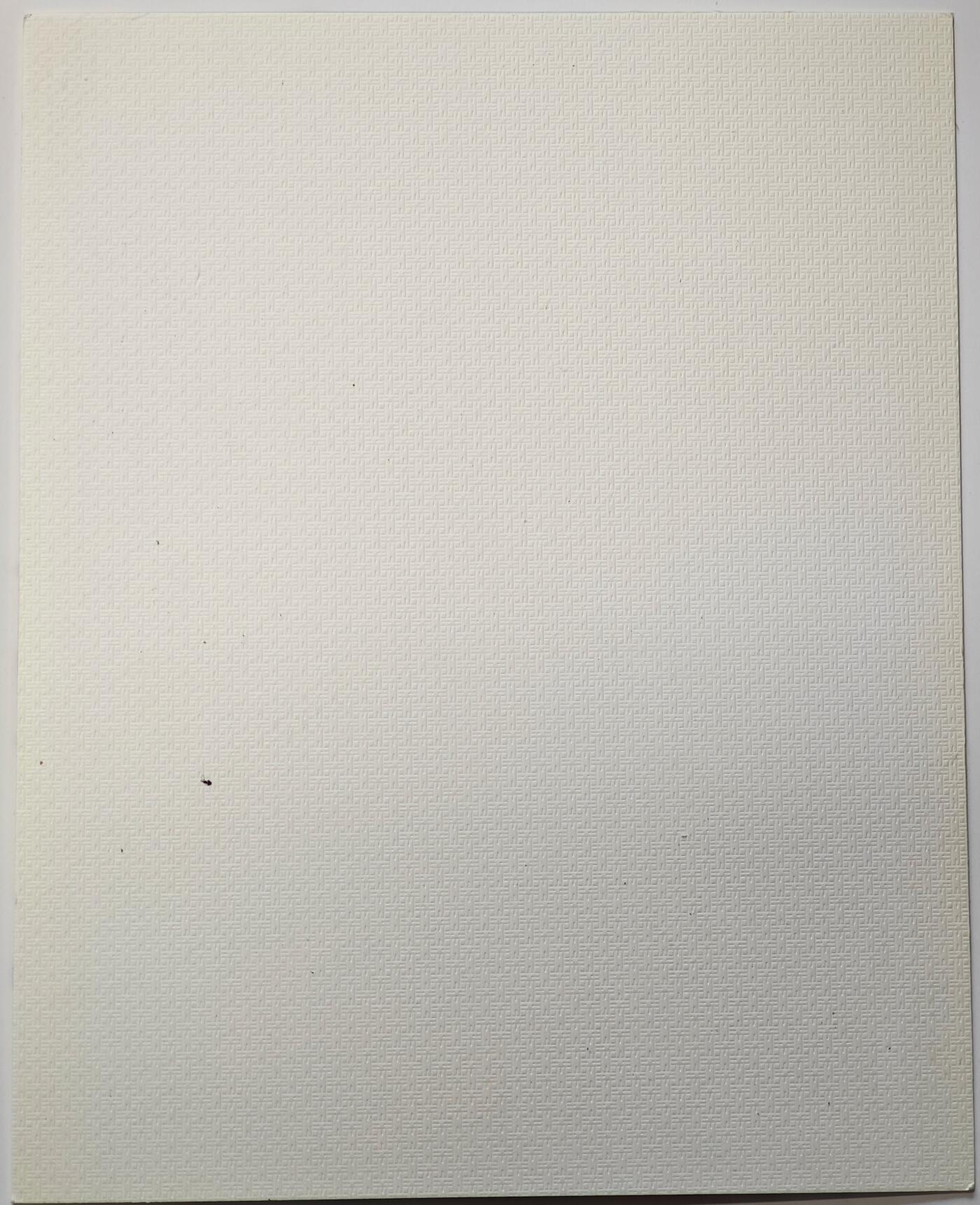 白泽拍卖卡牌手绘专场第31期（岁寒知松柏 春意已可期） 2025 waiwai手绘画 尺寸：21.5cm*27cm  waiwai亲签